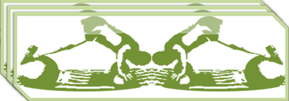 Bodii Strength & Fitness Innovations header page logo